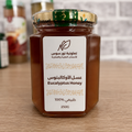 Marokkanischer Eukalyptushonig – 250g | 100 % Naturhonig